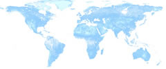 Network Market